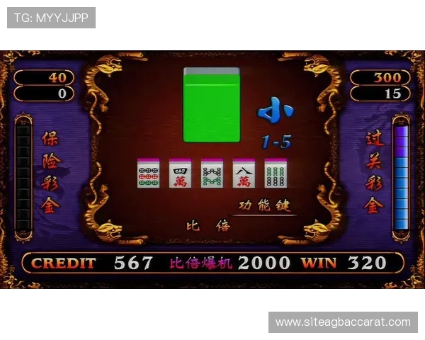 畅玩真人龙虎，看看2026年最火爆的龙虎游戏排行排名情况